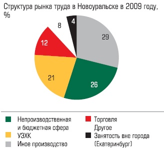 Структура рынка труда в Новоуральске в 2009 году