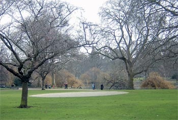 Лондонский парк