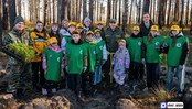Около 60 тысяч сеянцев сосны высадили в Тюменской области за выходные