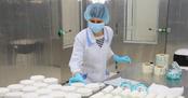 Крупнейший в РФ цех по производству сыров с белой плесенью открыли на Урале