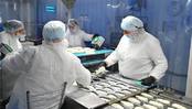 В Тюменской области начнут выпускать глазированные сырки