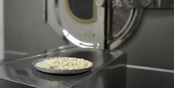 Дополнительно 1 млрд рублей выделили в Свердловской области на покупку препаратов