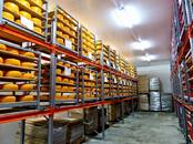 В Тюмени запущено крупнейшее в УрФО предприятие по производству сыра