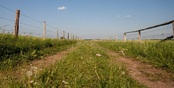 В Свердловской области продлили действие аренды сельхозземель за рубль