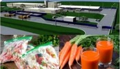 Завод глубокой переработки овощей стоимостью 600 млн рублей планируют построить в Тюменской области