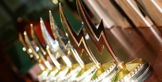В Москве вручили «Золотые молнии» - главную награду в сфере малой распределенной  и альтернативной энергетики
