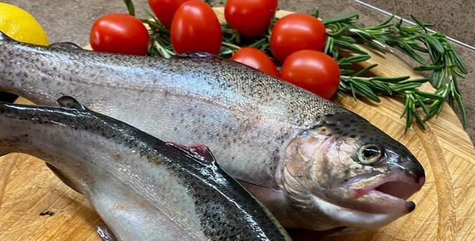 Тюменская область становится центром индустриального рыбоводства