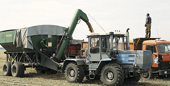 Урожай зерновых в Челябинской области из-за засухи почти вполовину меньше ожидаемого