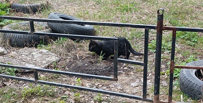 Новый путь автопокрышек: как в Екатеринбурге решают проблему утилизации шин