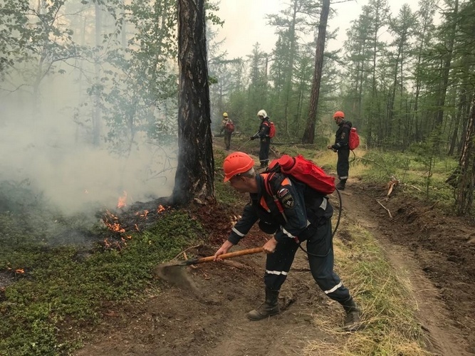 Площадь лесного пожара под Екатеринбургом достигла 500 га