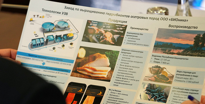 Челябинская компания «Бионика» намерена открыть производство рыбной продукции на территории ОЭЗ «Алга» в Башкирии