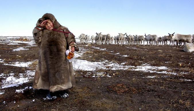 Арктические зимние игры в 2026 году могут пройти на Ямале