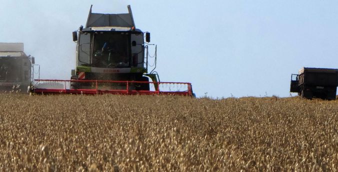 В Свердловской области убрано почти 90% зерновых