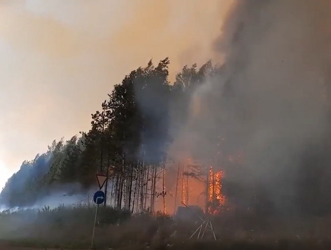 С 25 августа в районе Екатеринбурга запрещено посещать леса и использовать открытый огонь