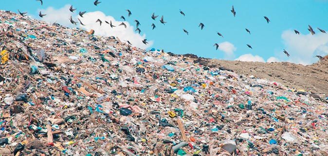 Пять мусорных полигонов для Югры
