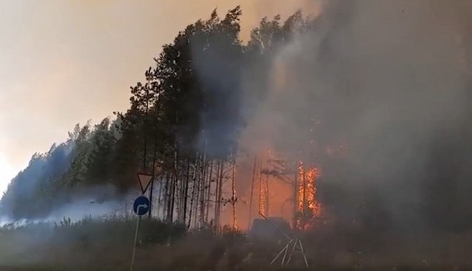 Климатолог УрФУ: лесные пожары нивелируют все усилия по сокращению парниковых выбросов Климатолог УрФУ: лесные пожары нивелируют все усилия по сокращению парниковых выбросов