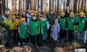 Около 60 тысяч сеянцев сосны высадили в Тюменской области за выходные
