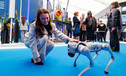 Международный промышленно-энергетический форум TNF открылся в Тюмени