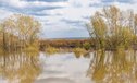 Паводок-2024: в Тюменской области по всему протяжению реки Ишим ожидается превышение исторических максимумов на 1,5 — 4,4 метра. Пик придется на 23 — 25 апреля