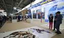 О чем говорили власти и бизнес России и Казахстана на Иннопроме-2022