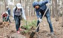 Представители НСКВ на Урале посадили лес в Екатеринбурге