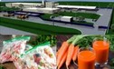 Завод глубокой переработки овощей стоимостью 600 млн рублей планируют построить в Тюменской области