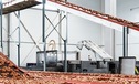 Почти 450 млн штук яиц произвели с начала года птицефабрики Тюменской области
