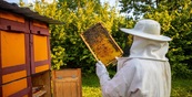 Предприниматель из Удмуртии получил на развитие пчеловодства 380 тыс. рублей по соцконтракту