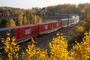 Рост перевозок контейнеров на СвЖД составил 1,2% с начала года
