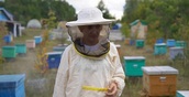 Башкирские специалисты помогут белорусам воссоздать популяцию темной лесной пчелы