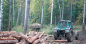 Лесными тропами из России