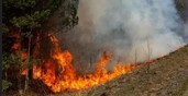 На территории Челябинской области в связи с лесными пожарами введен режим чрезвычайной ситуации, эвакуируется население