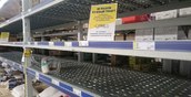 В Свердловской области субсидируют АПК, чтобы стабилизировать цены на продукты