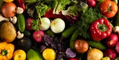 Беларусь поможет Свердловской области семенами овощей из «борщевого набора»