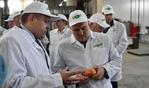 Минсельхоз РФ намерен развивать агропром на Урале