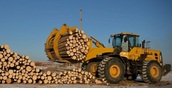 Инвестиции в лесопромышленный комплекс на севере Свердловской области за последние пять лет выросли в 12 раз