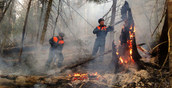 На севере Свердловской области лесные пожары угрожают населенным пунктам
