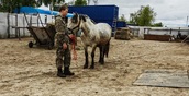 Экспорт кумыса увеличила Башкирия в страны Таможенного Союза