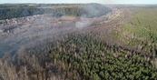 Разработку Пермского края «Умный лес» будут использовать еще пять регионов России