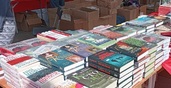 Более 90 тыс. человек ожидается на фестивале «Красная строка» в Екатеринбурге