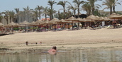 Росавиация отказала авиакомпаниям в выдаче допусков на рейсы на курорты Египта