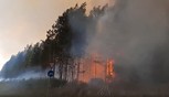 Климатолог УрФУ: лесные пожары нивелируют все усилия по сокращению парниковых выбросов