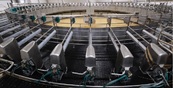 В Прикамье завершается первый этап строительства крупнейшего комплекса по производству молока