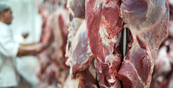 Курганский АПК попал в топ-10 по приросту производства мяса птицы и свинины