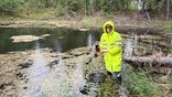 СвЖД присоединилась к экологическому проекту по сохранению популяции краснокнижного гребенчатого тритона в Свердловской области