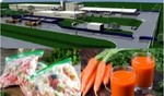 Завод глубокой переработки овощей стоимостью 600 млн рублей планируют построить в Тюменской области