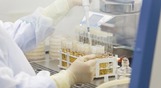 Центр исследований в области выращивания живых тканей в целях трансплантации построит в Сургуте Ростех