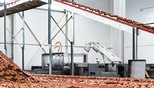 Почти 450 млн штук яиц произвели с начала года птицефабрики Тюменской области