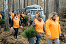 В Екатеринбурге корпоративные волонтеры и активисты движения «Волонтеры леса» высадили 1500 сибирских елей