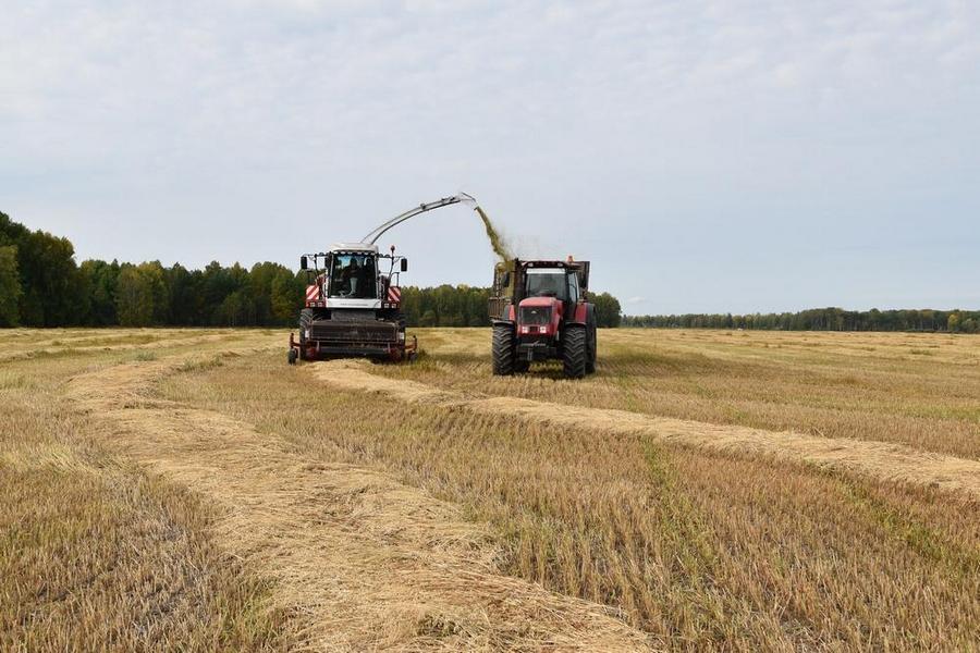 Челябинская область вдвое увеличит сбор зерновых в 2022 году